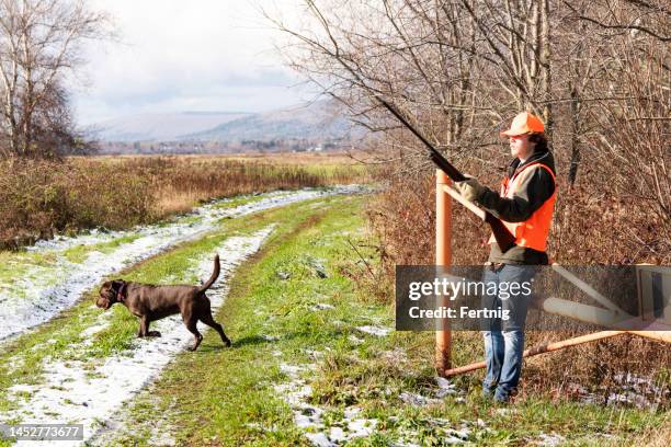 caza de faisanes en otoño. - pheasant hunting fotografías e imágenes de stock