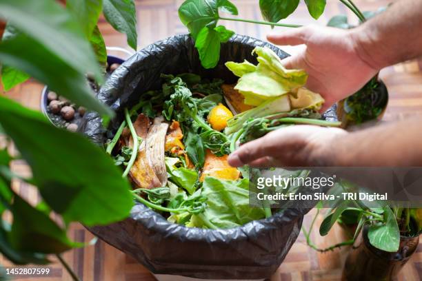 man using leftover organic food for compost avoiding waste and recycling - compost stockfoto's en -beelden