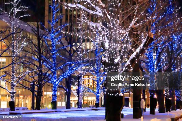 66 Sapporo White Illumination Stock Photos, High-Res Pictures, and