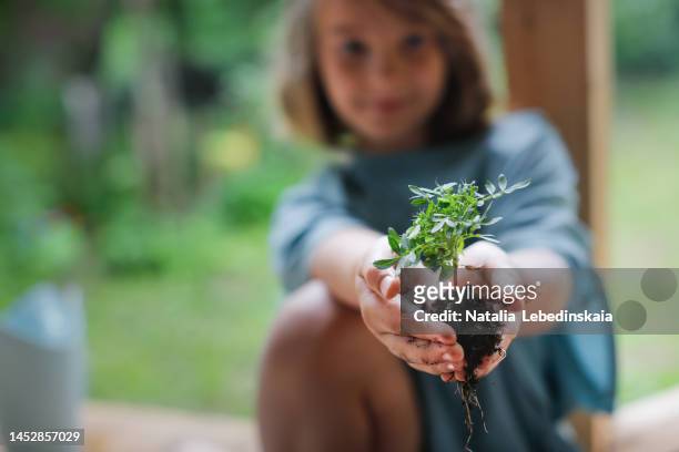 kid holding plant with soil in hands. environment earth day in the hands of plant growing seedlings. - earth day stockfoto's en -beelden