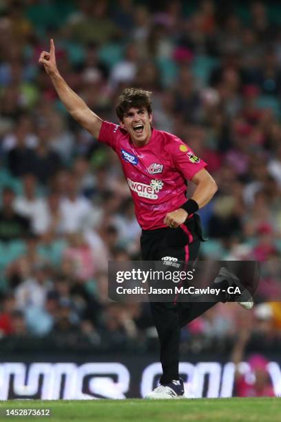 Sean Abbott of the Sixers celebrates after taking the wicket of Akeal Hosein of the Renegades during the Men's Big Bash League match between the...