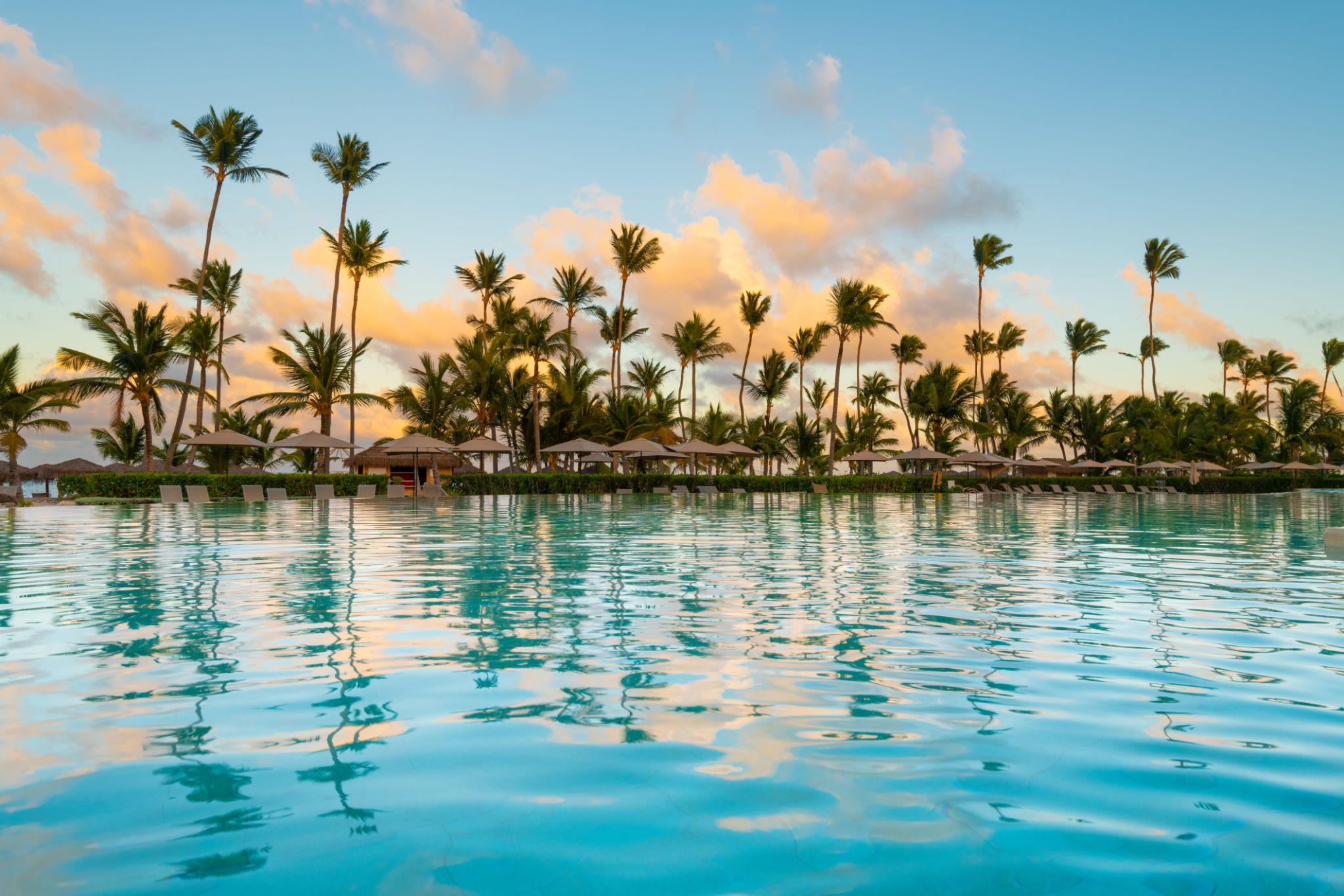 infinity pool garden