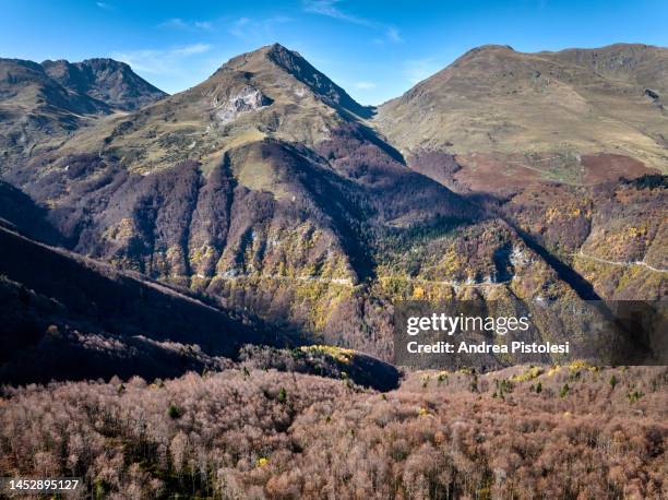 Macedonian Ranges Border Ranges National Park Photos and Premium High Res Pictures ...