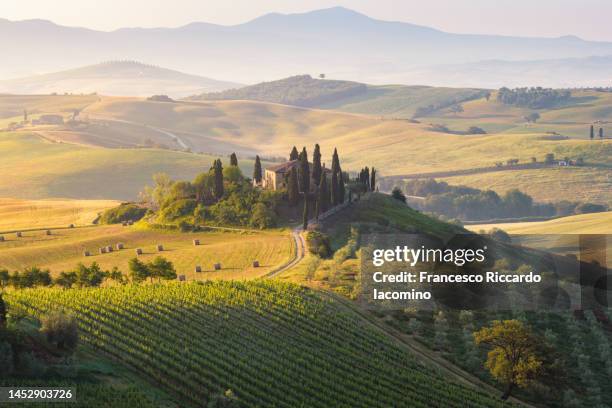 tuscany, rolling hills landscape - agritoerisme stockfoto's en -beelden