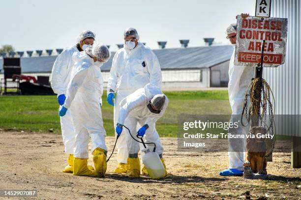Workers disinfected a work crew at a Jennie-O turkey farm in Eden Valley, Minnesota, at the end of a day, Thursday, April 30, 2015. The bird flu, or...