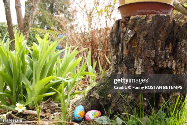 two easter eggs placed at the bottom of a tree trunk - easter eggs basket bildbanksfoton och bilder