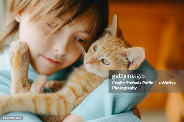 child holding a ginger kitten - animal assisted therapy stock pictures, royalty-free photos & images