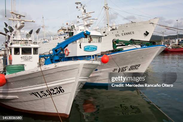 fishing boats moored in viana do castelo harbor, portugal. - viana do castelo city stock pictures, royalty-free photos & images