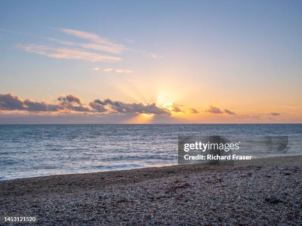 brighton seafront, uk. - fraser stock pictures, royalty-free photos & images