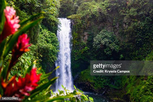 majestic waterfall at rainforest in costa rica - central america landscape stock pictures, royalty-free photos & images