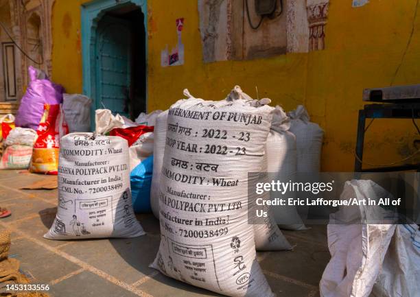 Bags of wheat in front of a store, Rajasthan, Mahansar, India on November 7, 2022 in Mahansar, India.