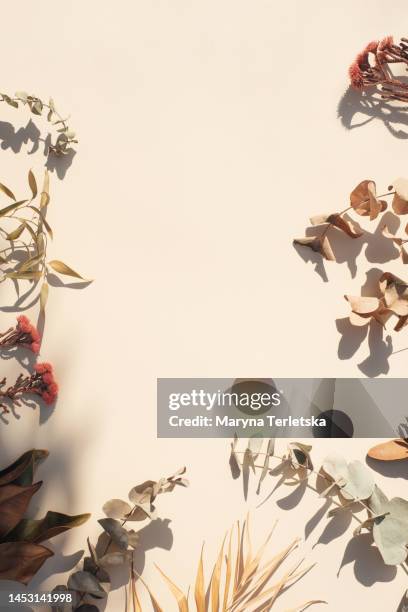 lots of dried flowers and leaves on a beige background. minimalism. universal background. eco background. tropical pattern. - beach flat lay stock pictures, royalty-free photos & images