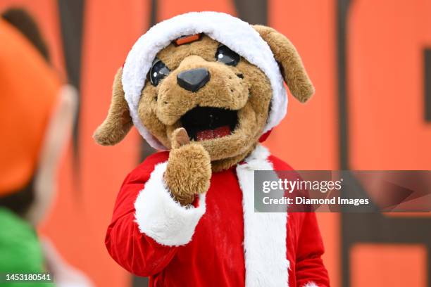 Cleveland Browns mascot Chomps poses for a photo prior to a game against the New Orleans Saints at FirstEnergy Stadium on December 24, 2022 in...