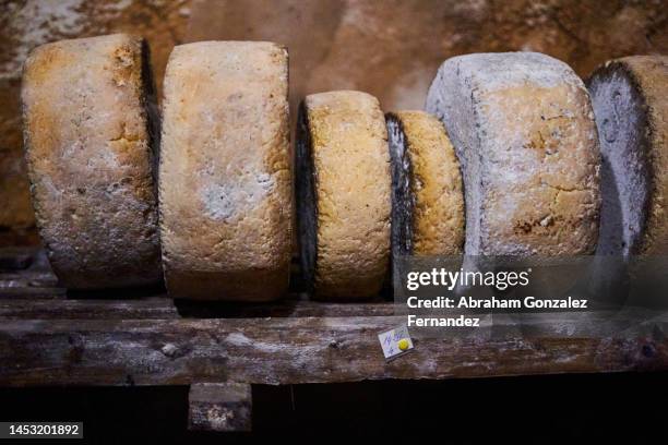 cheeses in line curing inside a cave - goat rots stock-fotos und bilder