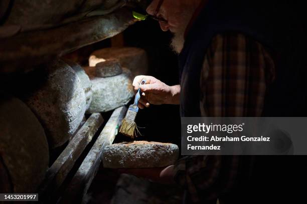 artisan farmer at work curing cheese inside a cave - goat rots stock-fotos und bilder