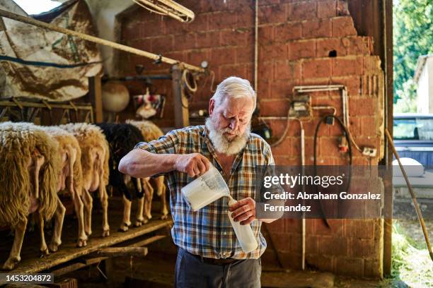 farmer storing freshly milked milk in a feeding bottle - food stall bildbanksfoton och bilder