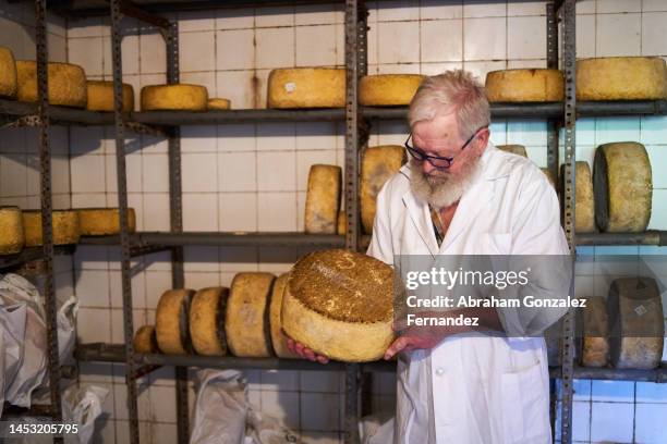 aged man holding a fresh cheese in a warehouse - delicatessen stock pictures, royalty-free photos & images