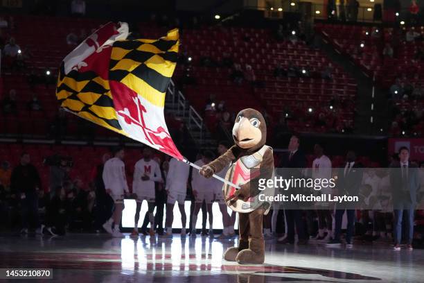 The Maryland Terrapins mascot on the floor before a basketball game against the UMBC Retrievers at the Xfinity Center on December 29, 2022 in College...
