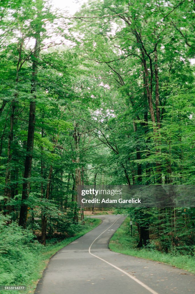 Exercise Path An Exercise Path Winds Through A Forest High-Res Stock Photo - Getty Images
