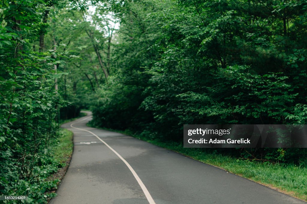 Exercise Path An Exercise Path Winds Through A Forest High-Res Stock Photo - Getty Images