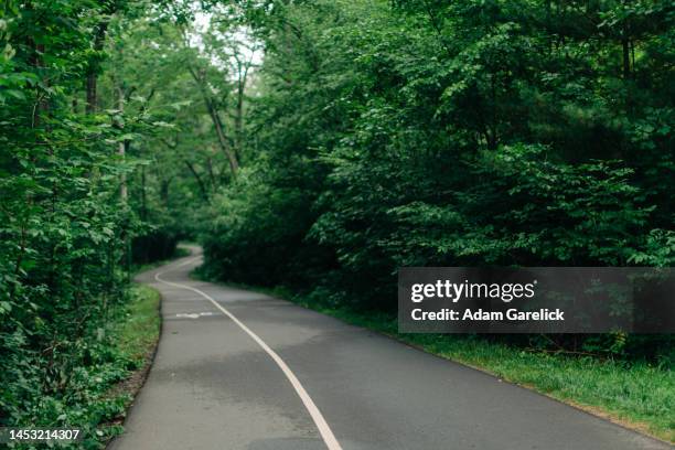 an exercise path winds through a forest - west hartford connecticut stock pictures, royalty-free photos & images