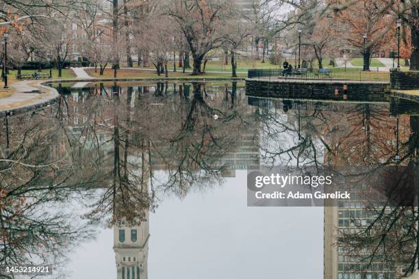 the travelers building reflecting in lily pond - hartford stock pictures, royalty-free photos & images