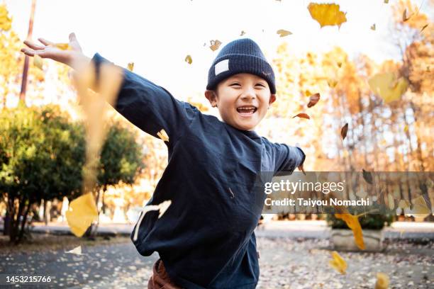 a 6 year old boy playing by collecting leaves and throwing them around. - temperatures soar to highest of the year stockfoto's en -beelden