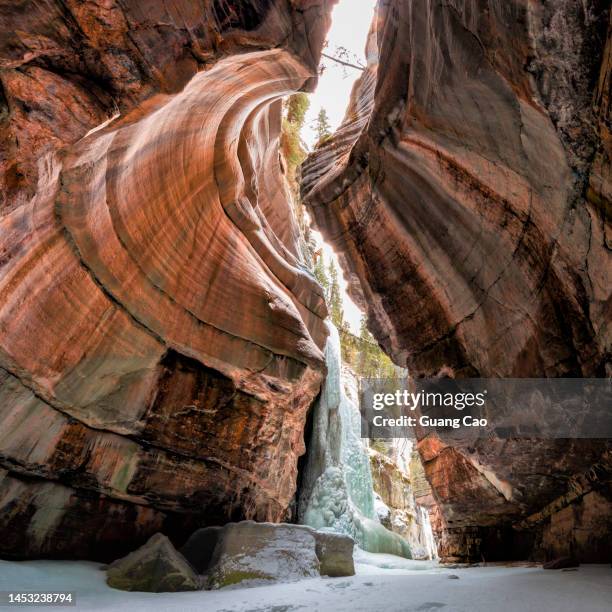 johnston canyon - johnston canyon stock pictures, royalty-free photos & images