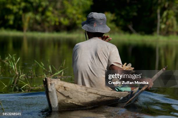 swamp catfish fishermen - loricariidae stock pictures, royalty-free photos & images