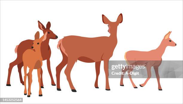 roaming deer family copper - doe foot stock illustrations