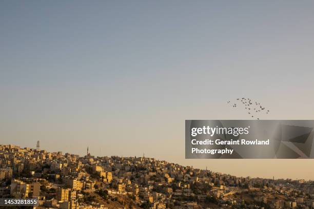 amman skyline - amman skyline stock pictures, royalty-free photos & images