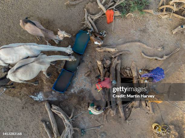 climate change. drought. water crisis. aerial view. african men drawing water for livestock, goats, camels from very deep wells due to persistent drought. kenya - wassermangel stock-fotos und bilder