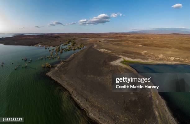 aerial view.rising waters of lake turkana, inundating palm forests. rift valley lakes are rising due to climate change, human activities and the active tectonic belt.kenya. east africa - lago turkana foto e immagini stock