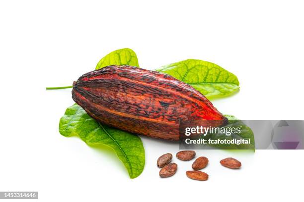 ripe cocoa pod and beans with cocoa leaves isolated on white background - cacao pod stockfoto's en -beelden