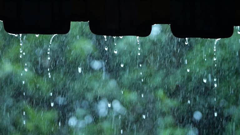 Water Falling Raining 180,642 Rain Falling Stock Videos, Footage, & 4K Video Clips - Getty Images