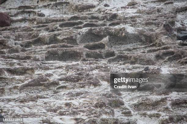 full frame of texture, natural stone wall, tiles, brick  closeup background photo texture - biotit stock-fotos und bilder