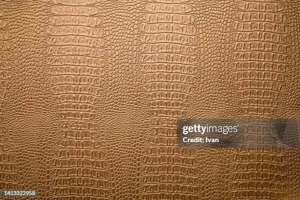 full frame of texture, dried snake skin leather - mottled skin stock pictures, royalty-free photos & images