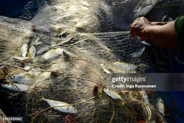 men sift through the fishing net - fischereinetz stock-fotos und bilder