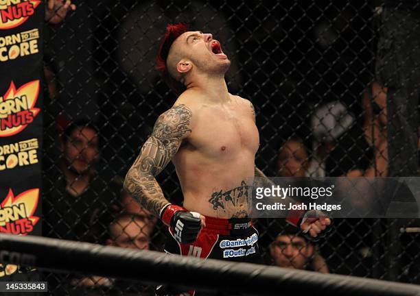 Dan Hardy reacts to his knockout win over Duane Ludwig during a welterweight bout at UFC 146 at MGM Grand Garden Arena on May 26, 2012 in Las Vegas,...