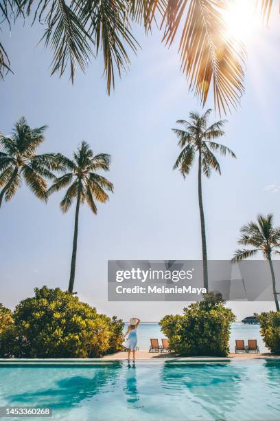 woman standing by maldives swimming pool at tropical island resort hotel beach with palm trees - beach hotel imagens e fotografias de stock