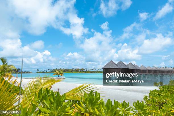 maldives island overwater villa bungalows at turquoise hotel resort lagoon - styltor bildbanksfoton och bilder