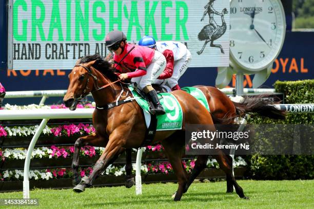 Rachel King riding Infatuation wins Race 1 of the Grainshaker Australian Vodka Handicap during Sydney Racing at Royal Randwick Racecourse on December...