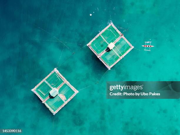 fish cages in the bohol sea - south east asia stock pictures, royalty-free photos & images