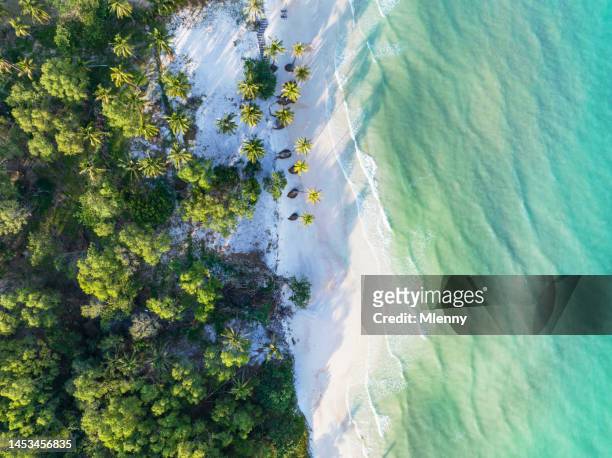 paradise beach bãi tắm sao beach phu quoc vietnam - palm tree texture stock pictures, royalty-free photos & images