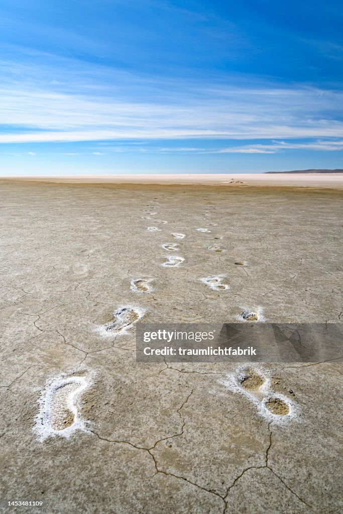 Salt Steps Footsteps On Salty Soil High-Res Stock Photo - Getty Images