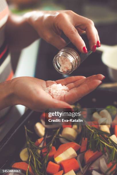 bon appétit! - himalayan salt stock-fotos und bilder