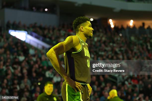 Giannis Antetokounmpo of the Milwaukee Bucks waits for a timeout during a game against the Minnesota Timberwolves at Fiserv Forum on December 30,...