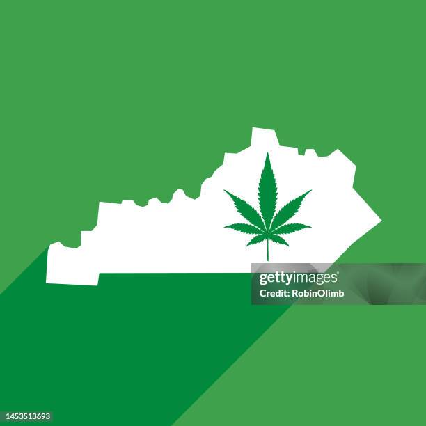 kentucky marijuana map icon - kentucky stock illustrations