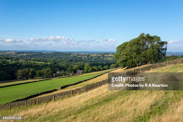 countryside around the village of mellor, greater manchester, england - stockport stockfoto's en -beelden