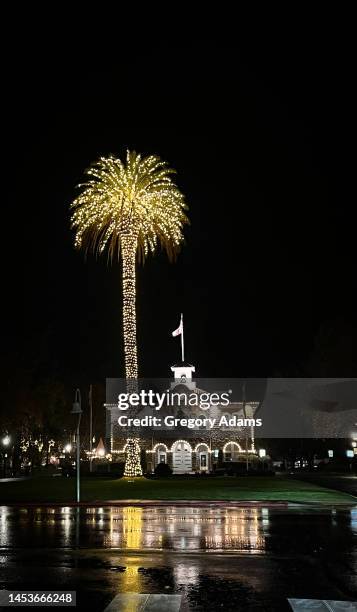 palm tree decorated for christmas in front of sonoma town hall - christmas palm tree stock-fotos und bilder